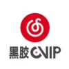 網易雲音樂會員 VIP