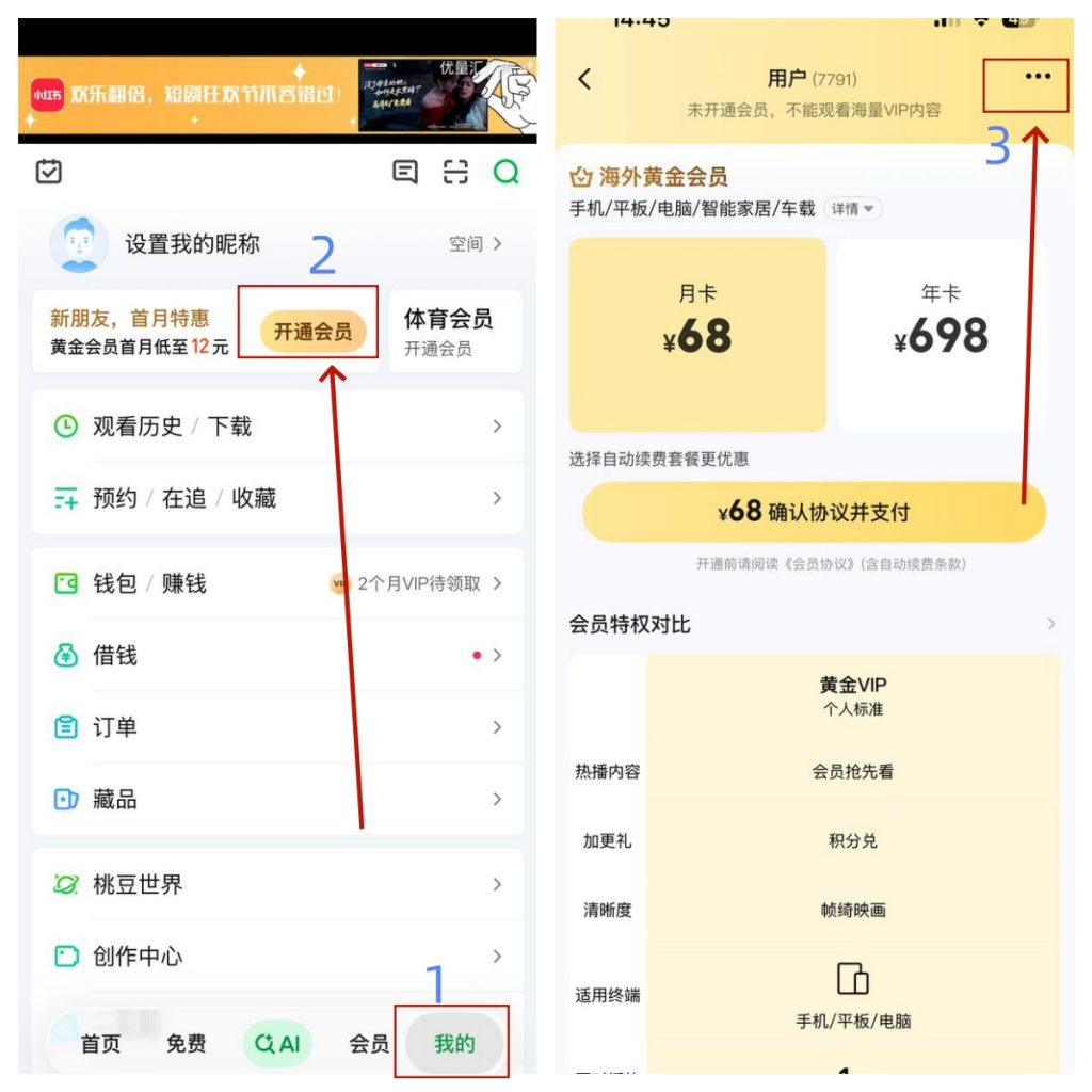 大陸版愛奇藝會員